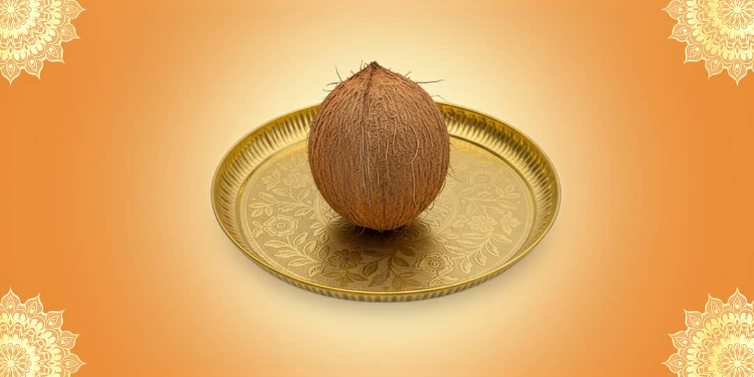 Offer Coconut