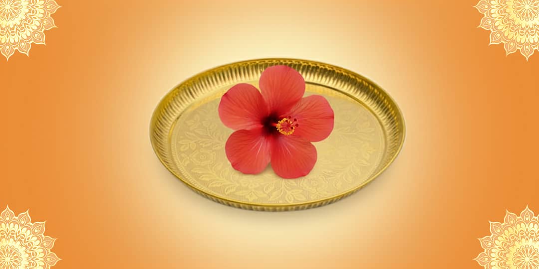 Offer Red Hibiscus Flowers