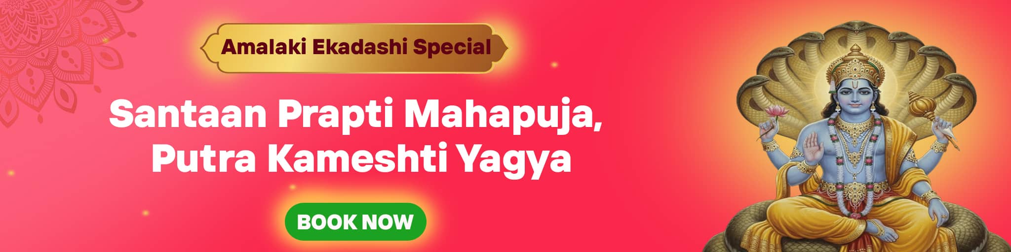 Santaan Prapti Mahapuja, Putra Kameshti Yagya, 11,000 Santaan Gopal Mantra Jaap, Vishnu Sahasranaam Paath & Panchamrit Abhishek