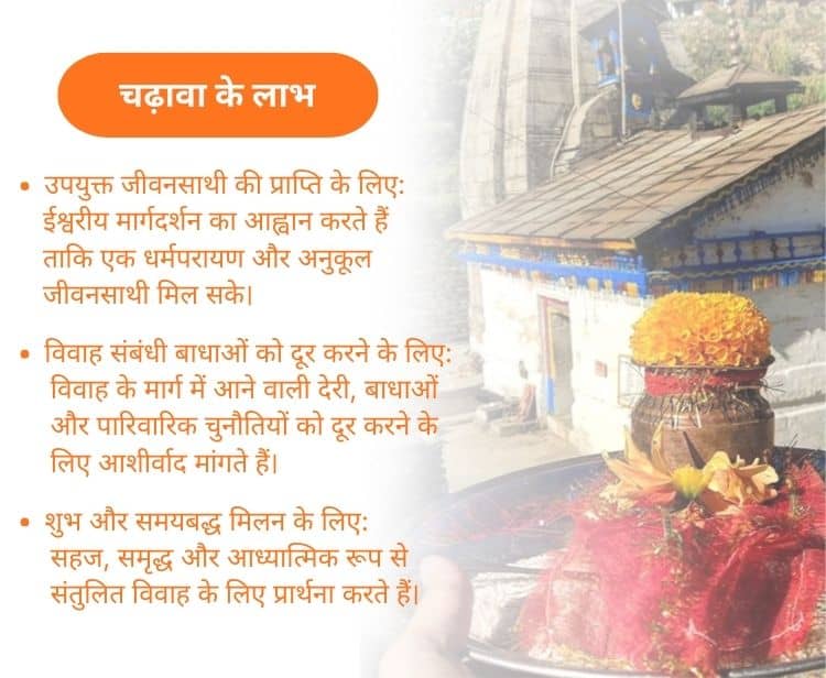 3866Chadhava image