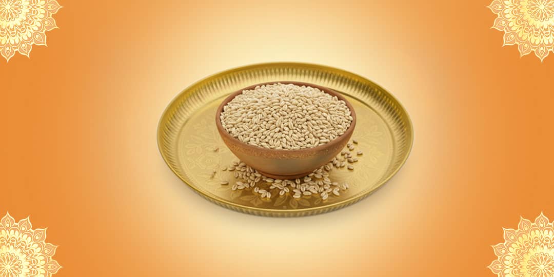 Offer Barley (yava)