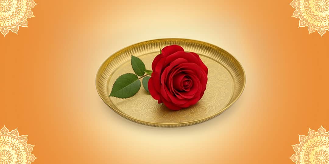 Offer Rose