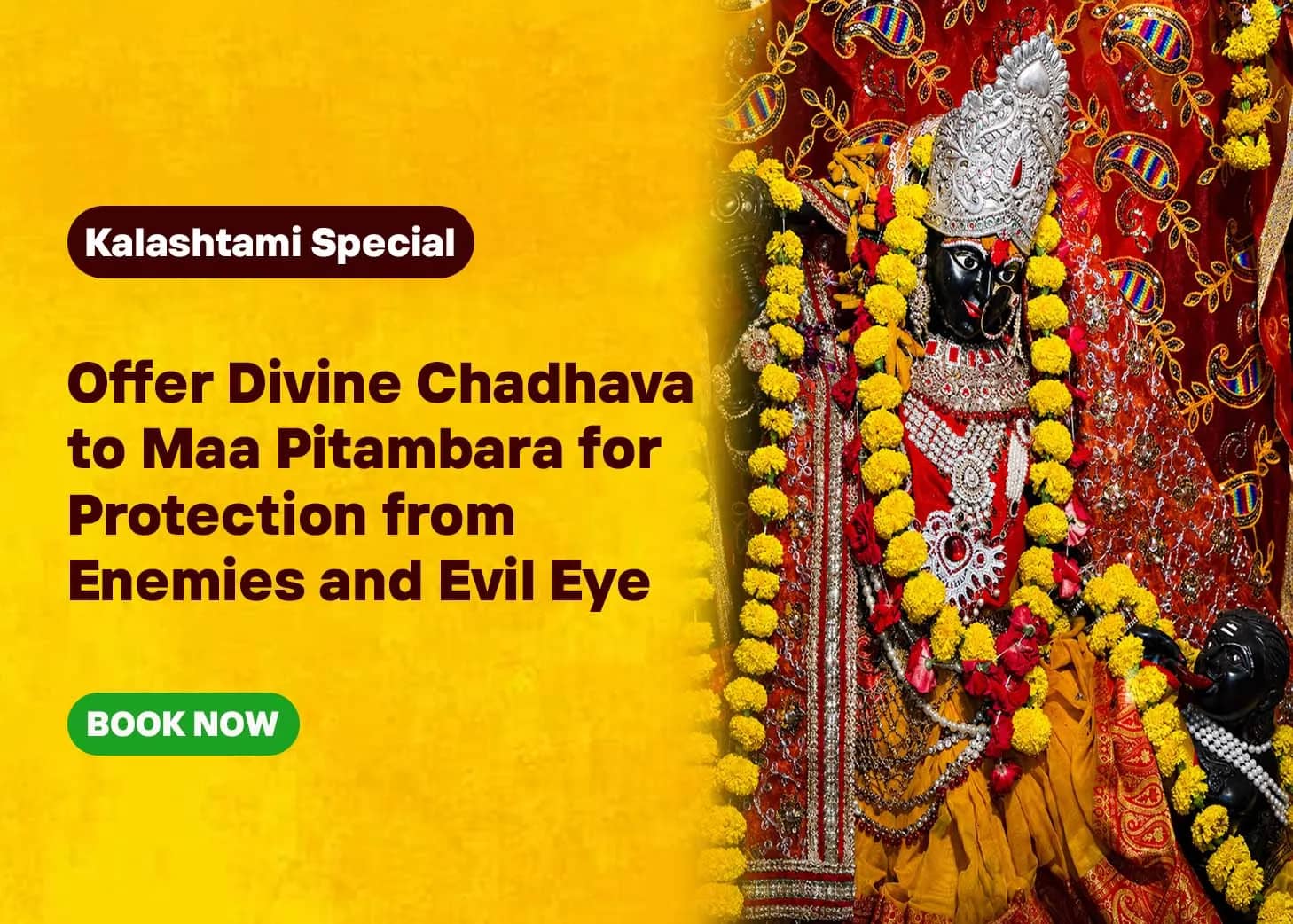 3838Chadhava image