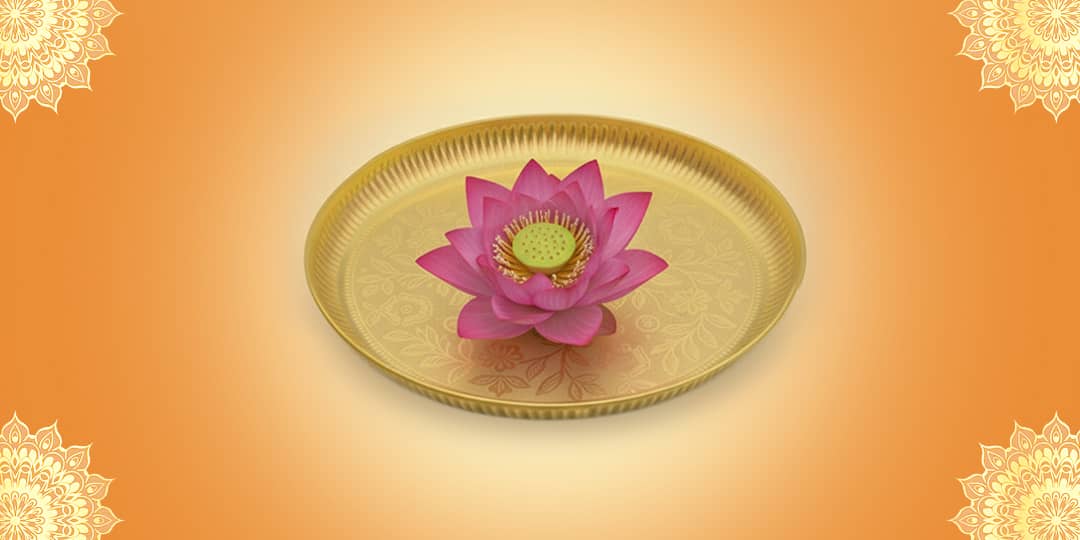 Offer Lotus