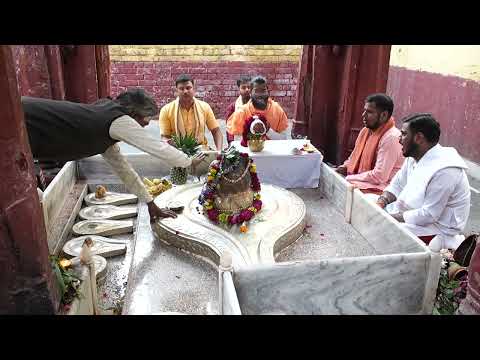 Soma Pradosh 11,000 Mahamrityunjay Jaap, Yantra Sthapana, and Drishti Nivaran Homam