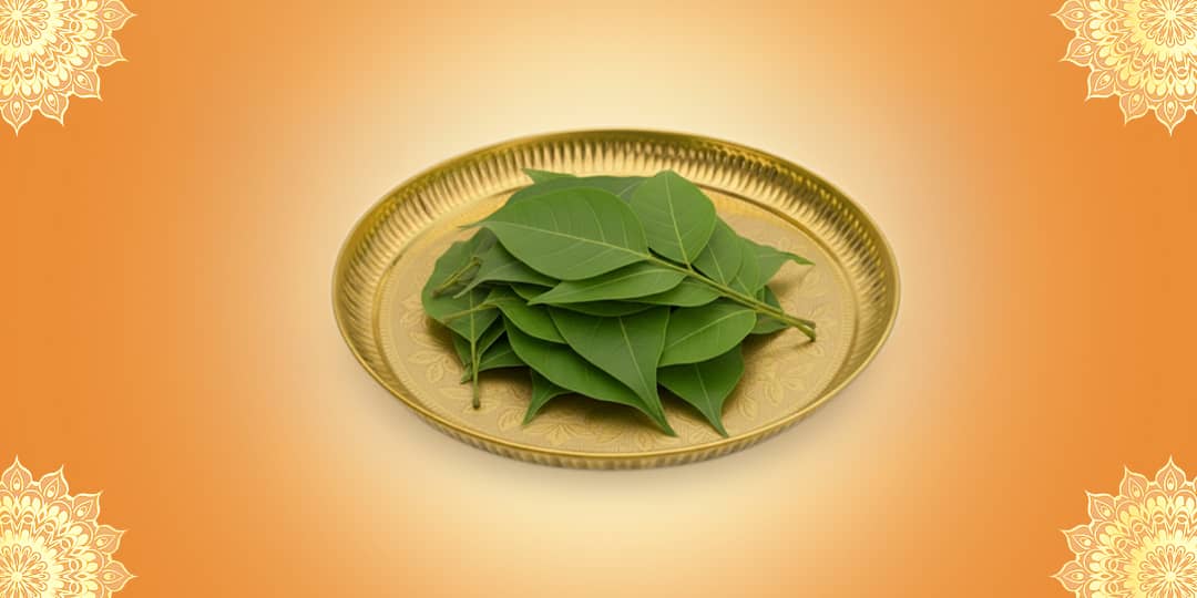 Offer 21 Bilva Leaves