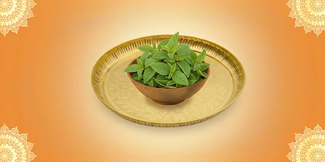 Offer Tulsi Leaves to Lord Ram