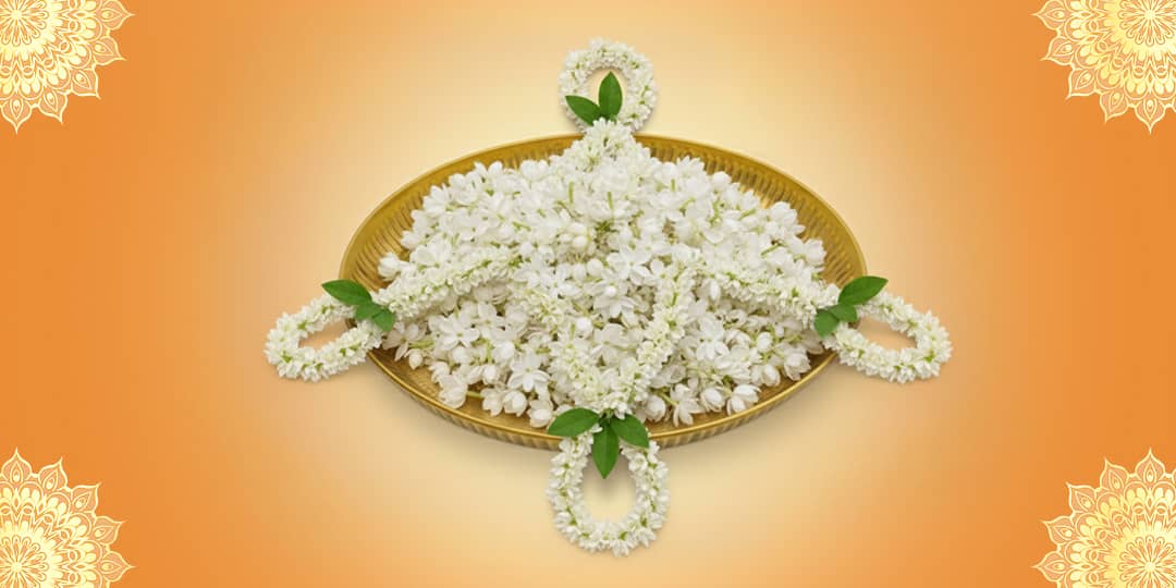 Offer White Flowers
